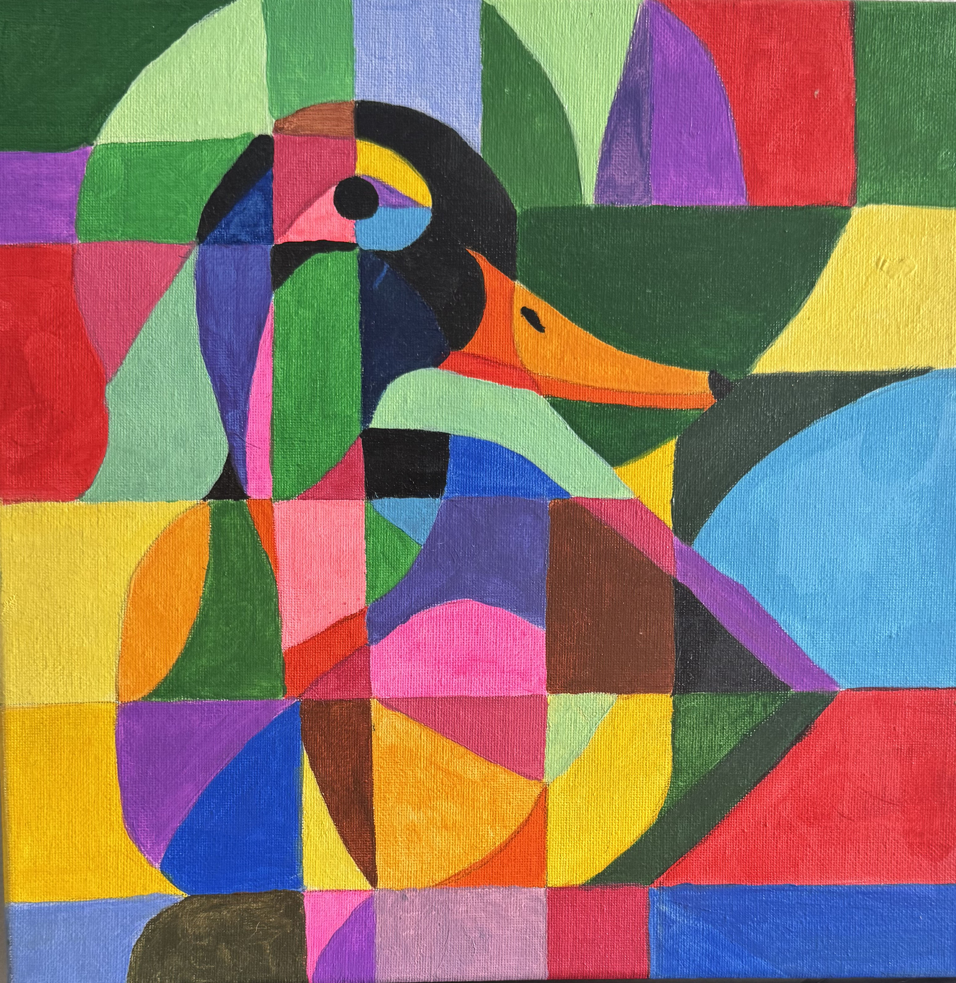 Painted Radiant Duck